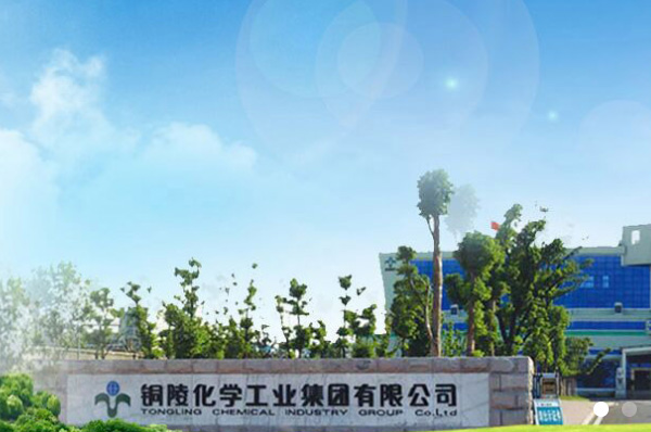 六國化工受邀出席智造糧米全鏈戰(zhàn)略研討會